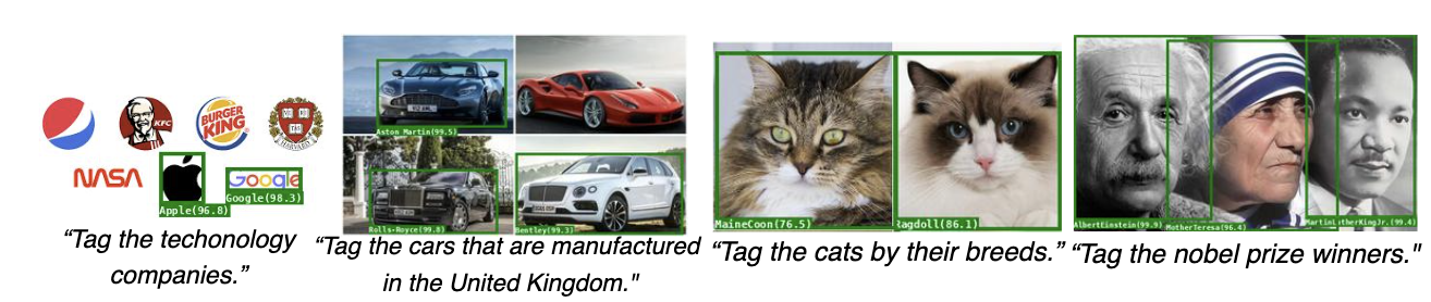 Knowledge Tagging (Non-Medical)